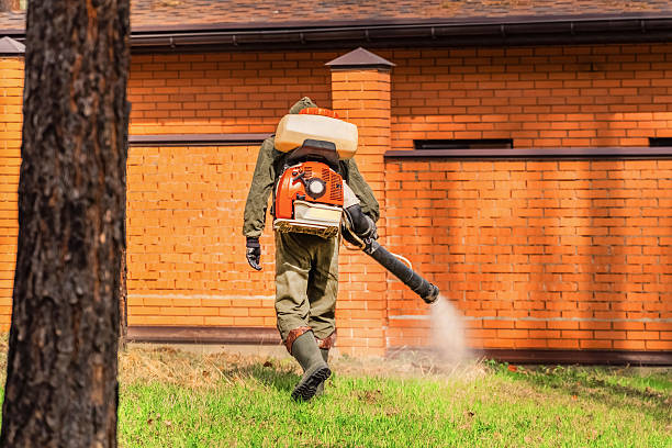 Bed Bug Clearance Verification and Documentation in West Hill